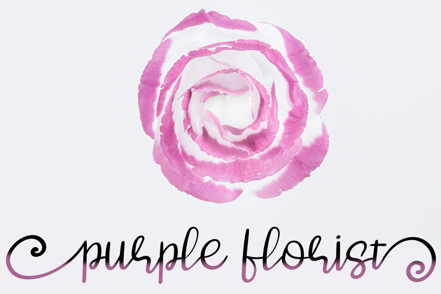 Oska Script Font Oska Script Font