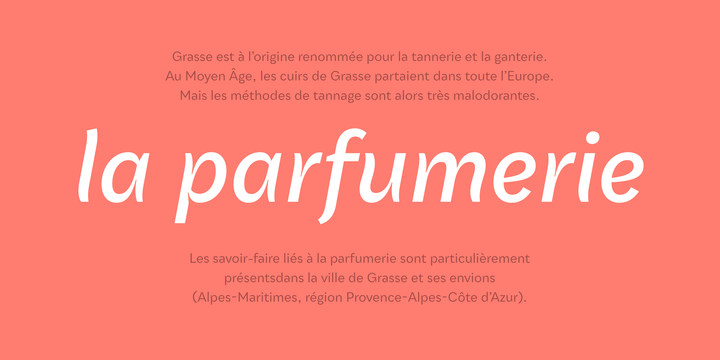Qualion Text Font Family