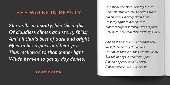 Qualion Text Font Family