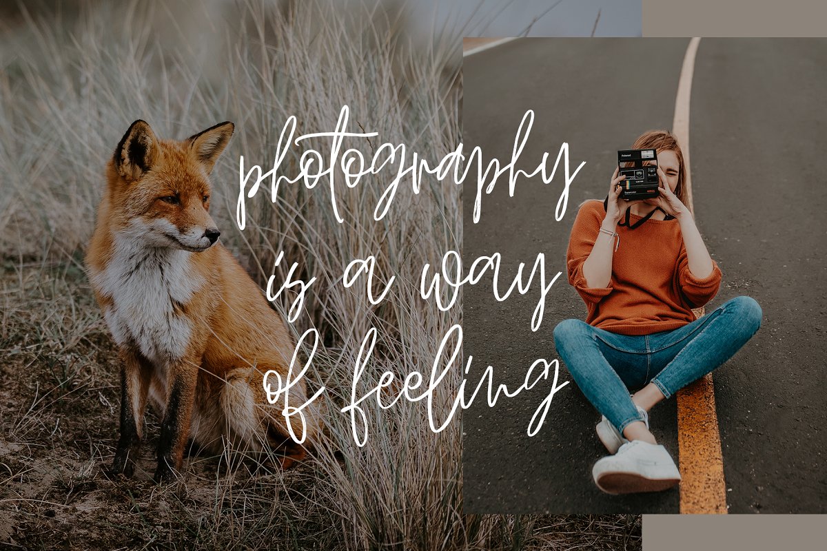 SHADOW SCRIPT - Free Font