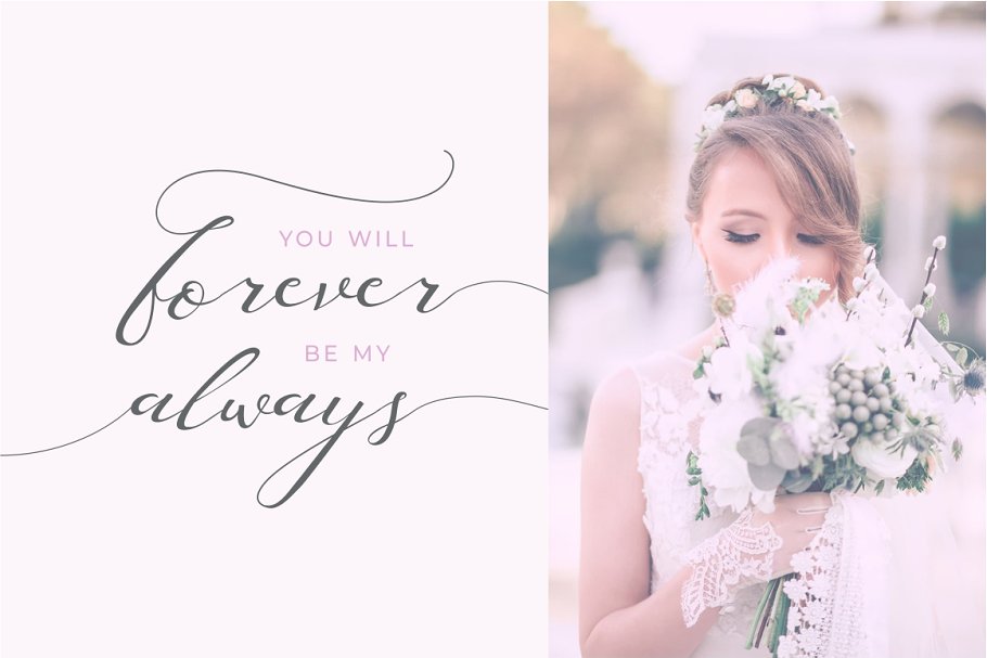 Elegant Script Font Elegant Script Font