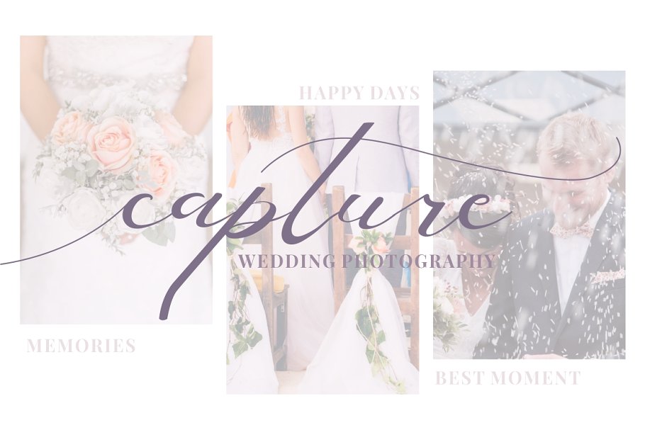 Elegant Script Font Elegant Script Font