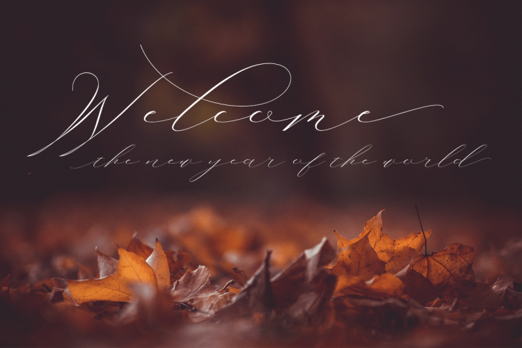 Gianetta Script Font Gianetta Script Font