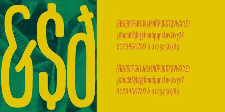 Mangaba Pro Font Family Mangaba Pro Font Family
