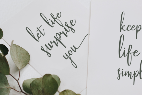 Stellaria Font Stellaria Font