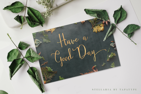 Stellaria Font Stellaria Font
