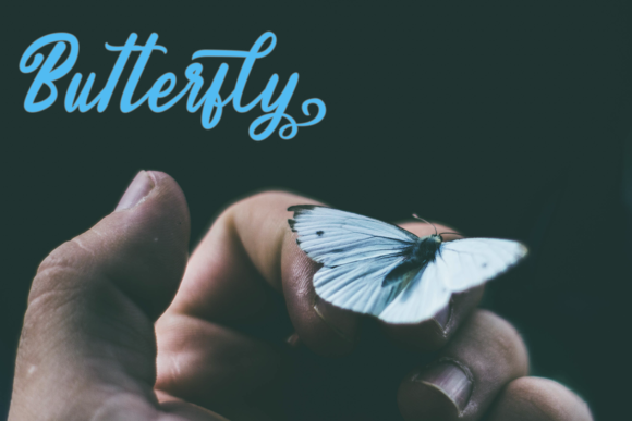 Endolitta Font Endolitta Font