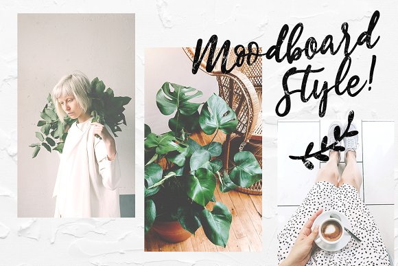 Estylle Madison Calligraphy Estylle Madison Calligraphy