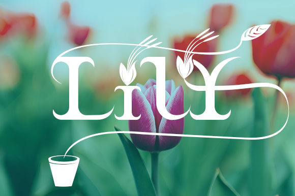 Braxica Lily Font Braxica Lily Font