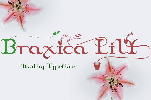 Braxica Lily Font Braxica Lily Font