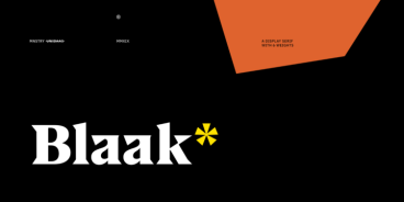 US Blaak Font Family