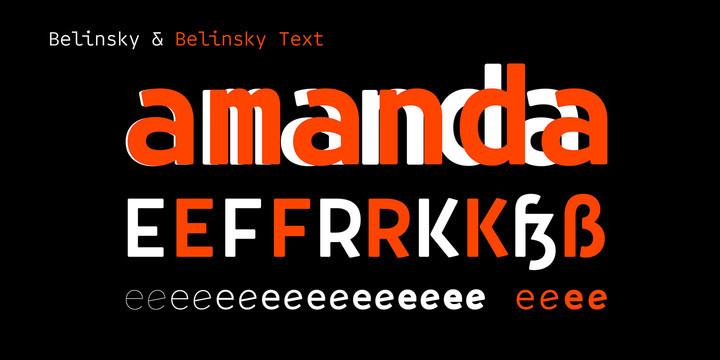 Belinsky Text Font Family Font