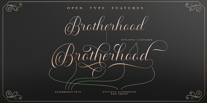 Maldini Script Font