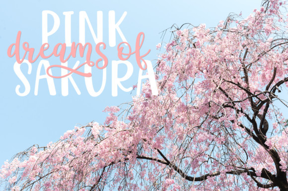 Hello Sakura Font