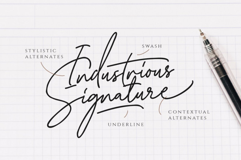 Katherine Script Font
