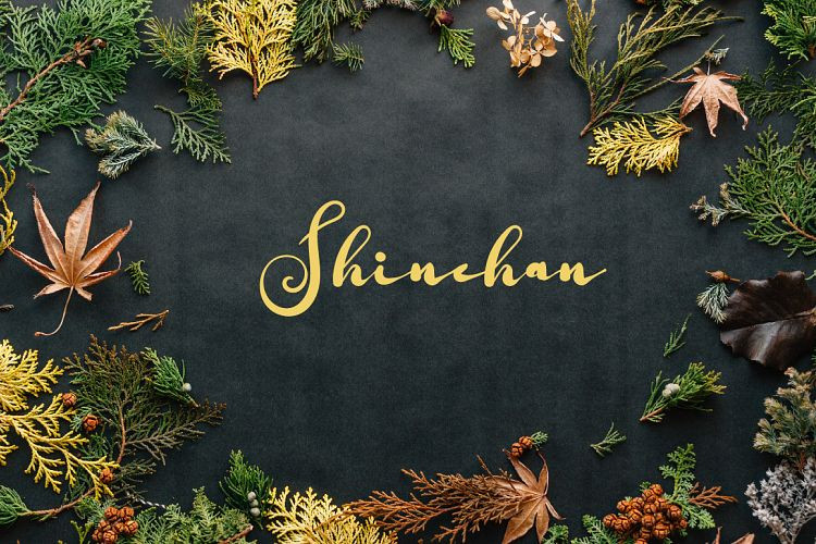Shuntip Jan Script Font