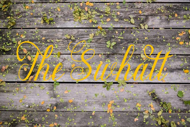 Maillane Script Font