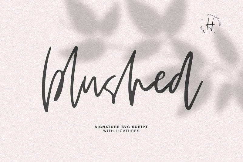BLUSHED SCRIPT Font BLUSHED SCRIPT Font
