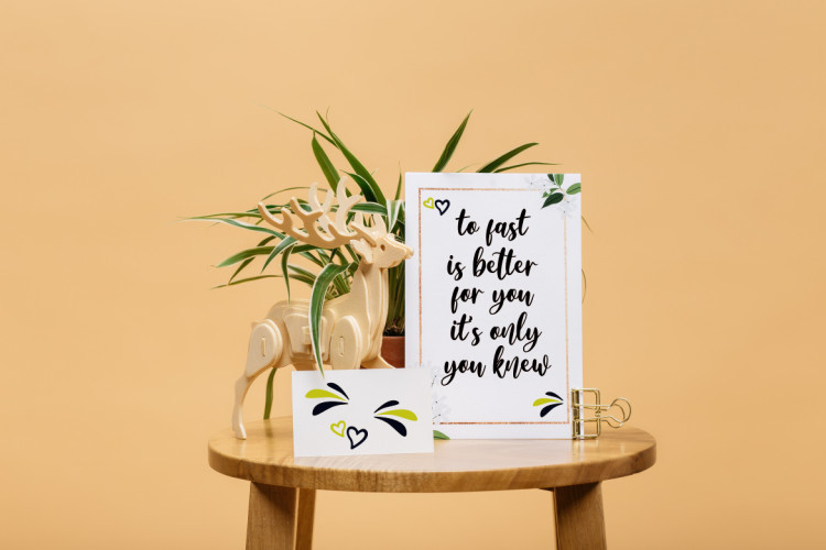 Amelya Script Font