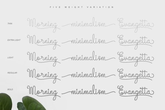 Evangetta Font
