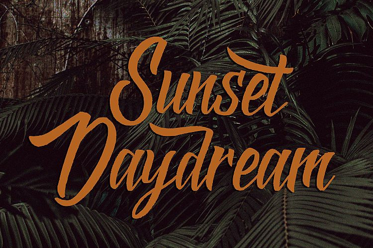 Black & Shadow Font Script Font
