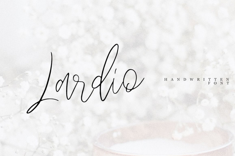 Lardio Script Font