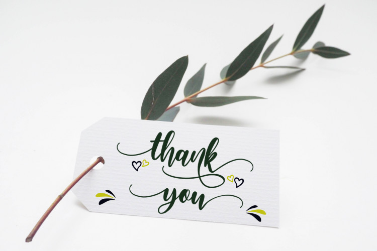 Amelya Script Font