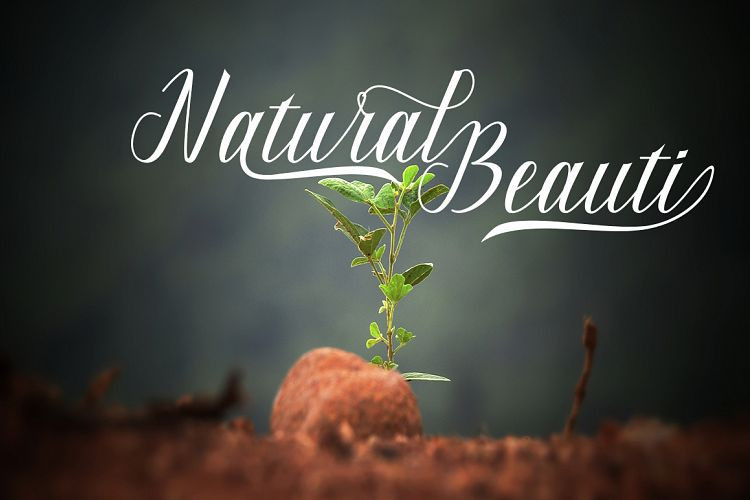 Maillane Script Font