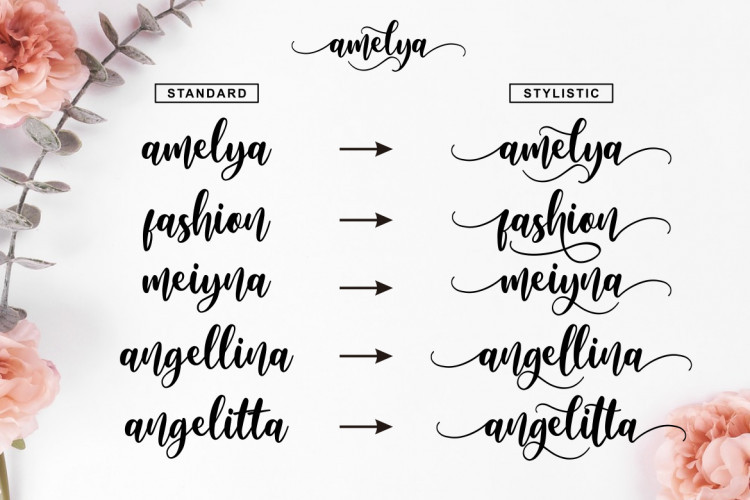 Amelya Script Font