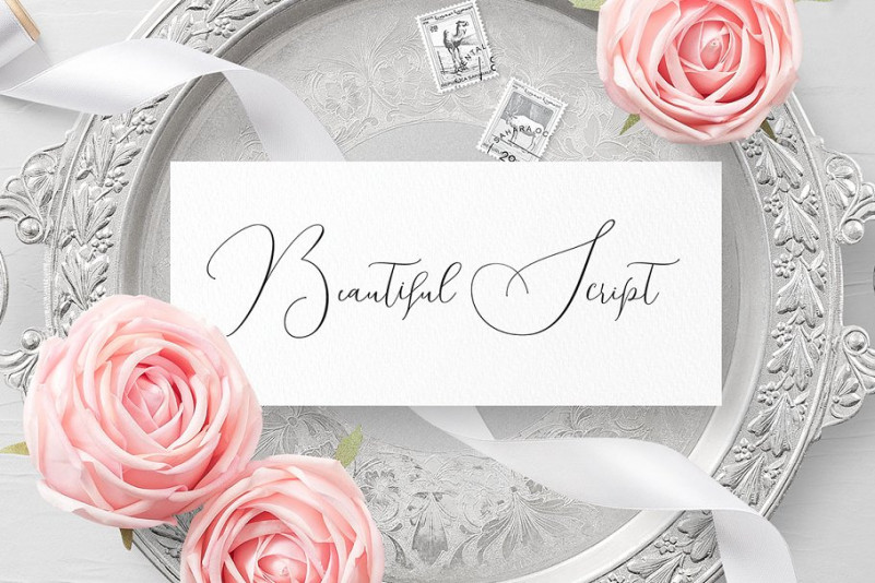 Shailene Script Font
