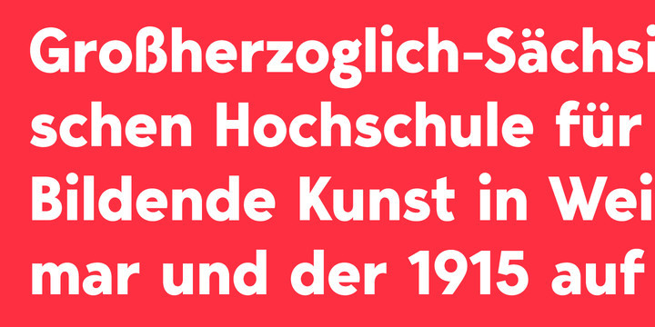Bergen Text Font Family