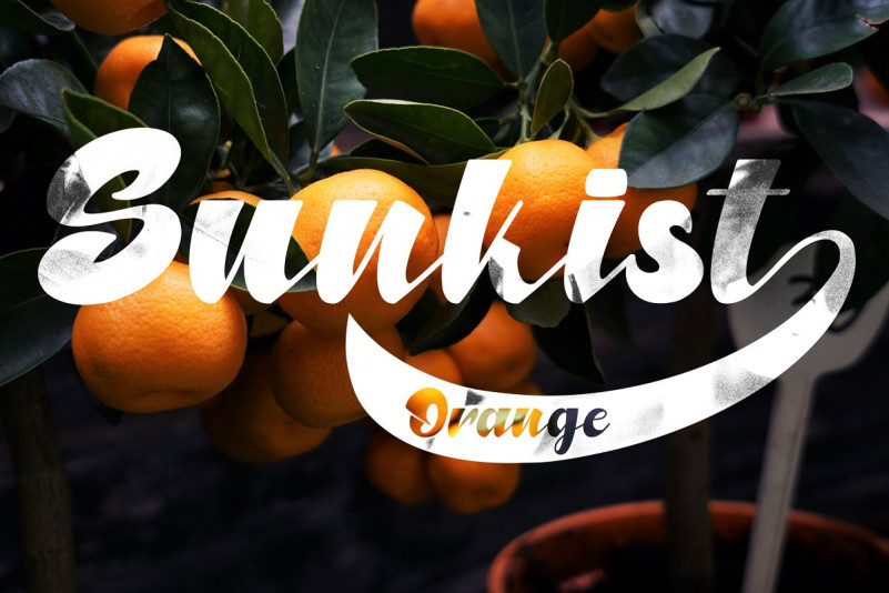 NORTH BLUE Font