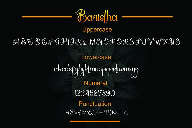 Baristha Font Baristha Font