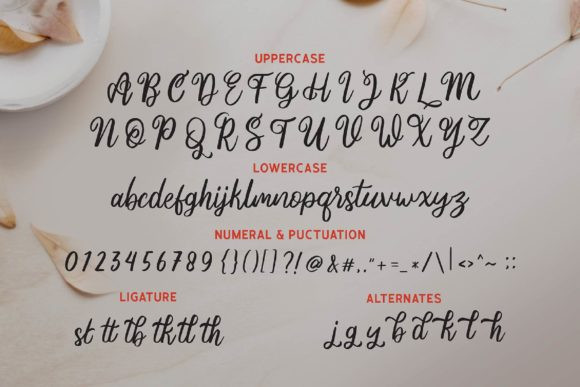 Ania Gamelia Font