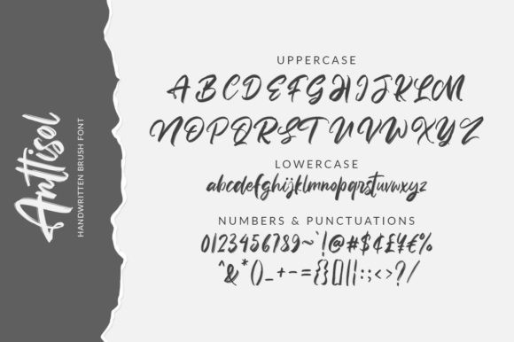 Anttisol Font