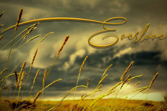 Everlove Font