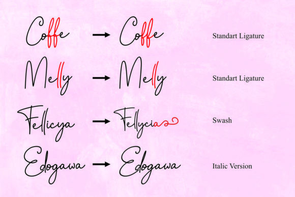 Fellicya Font
