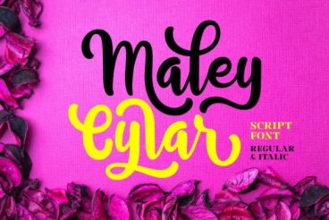 Maley Cylar Font