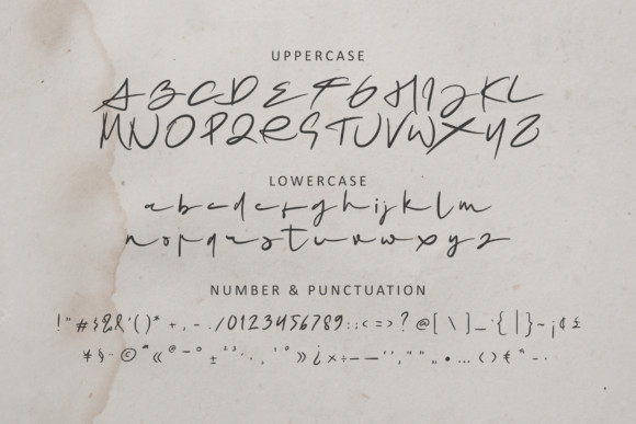 Mrs. Santhi Font