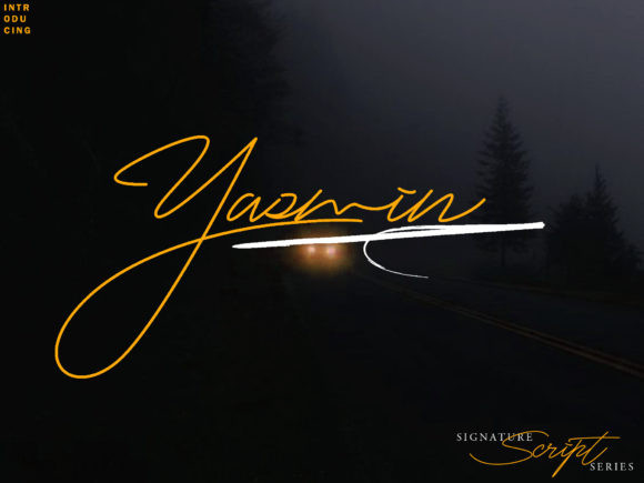 Yasmin Font