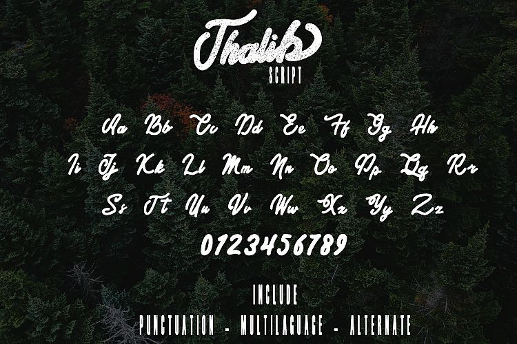 Thalib Font