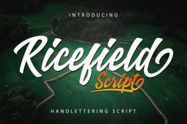 Ricefield Script Font