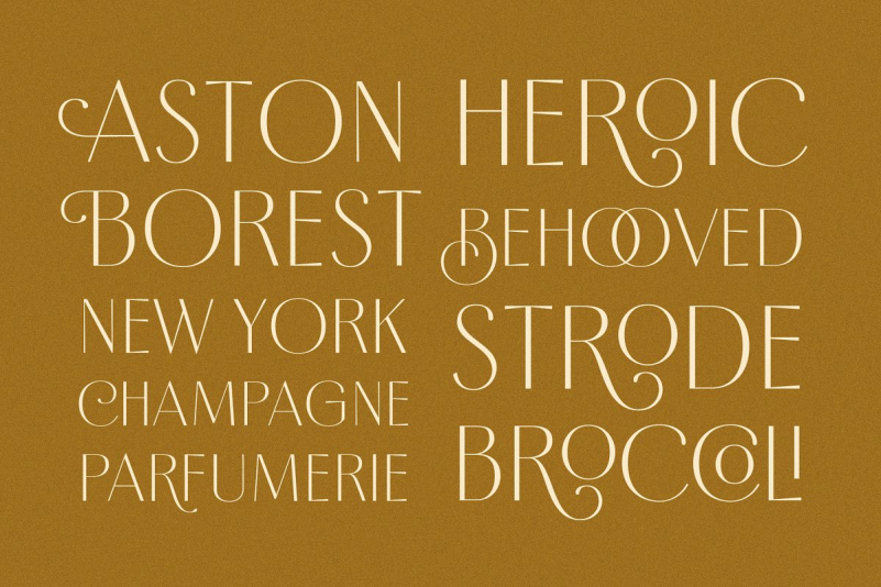 Borest Elegant Roman Font