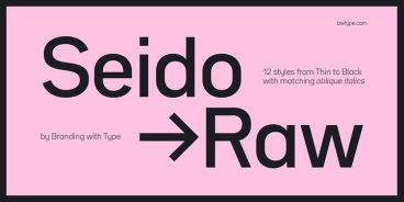 Bw Seido Raw Font