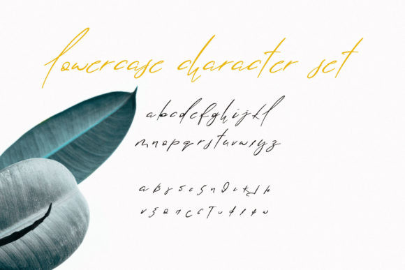 Lolotte Font
