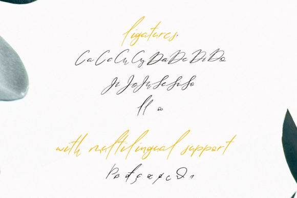 Lolotte Font