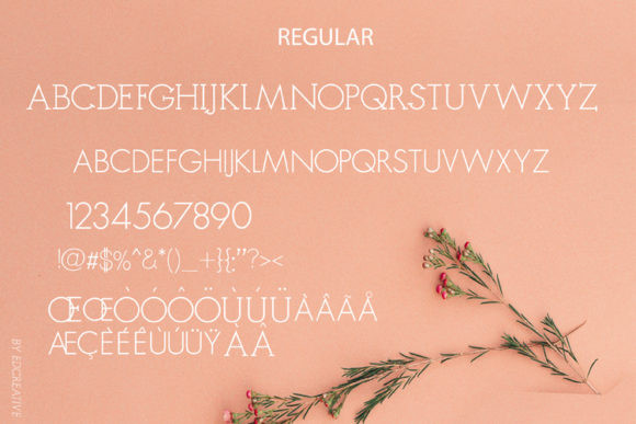 Rangoe Font