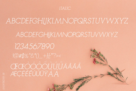 Rangoe Font