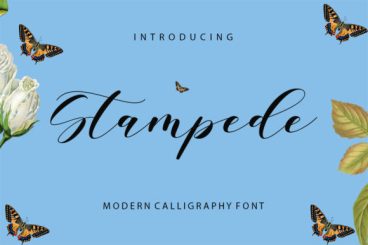 Stampede Font