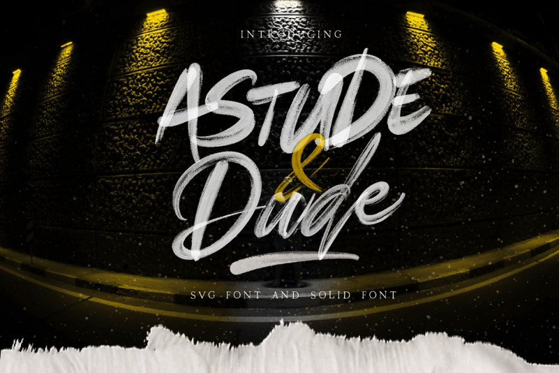 Astude & Dude SVG Font & Solid